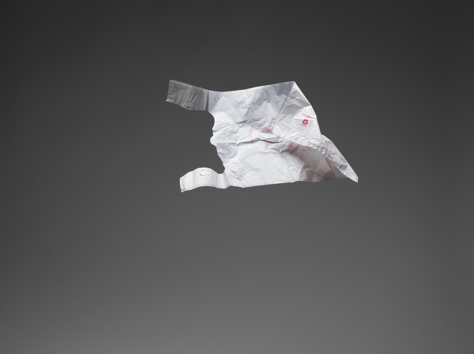 Bags_6-7-0700219
