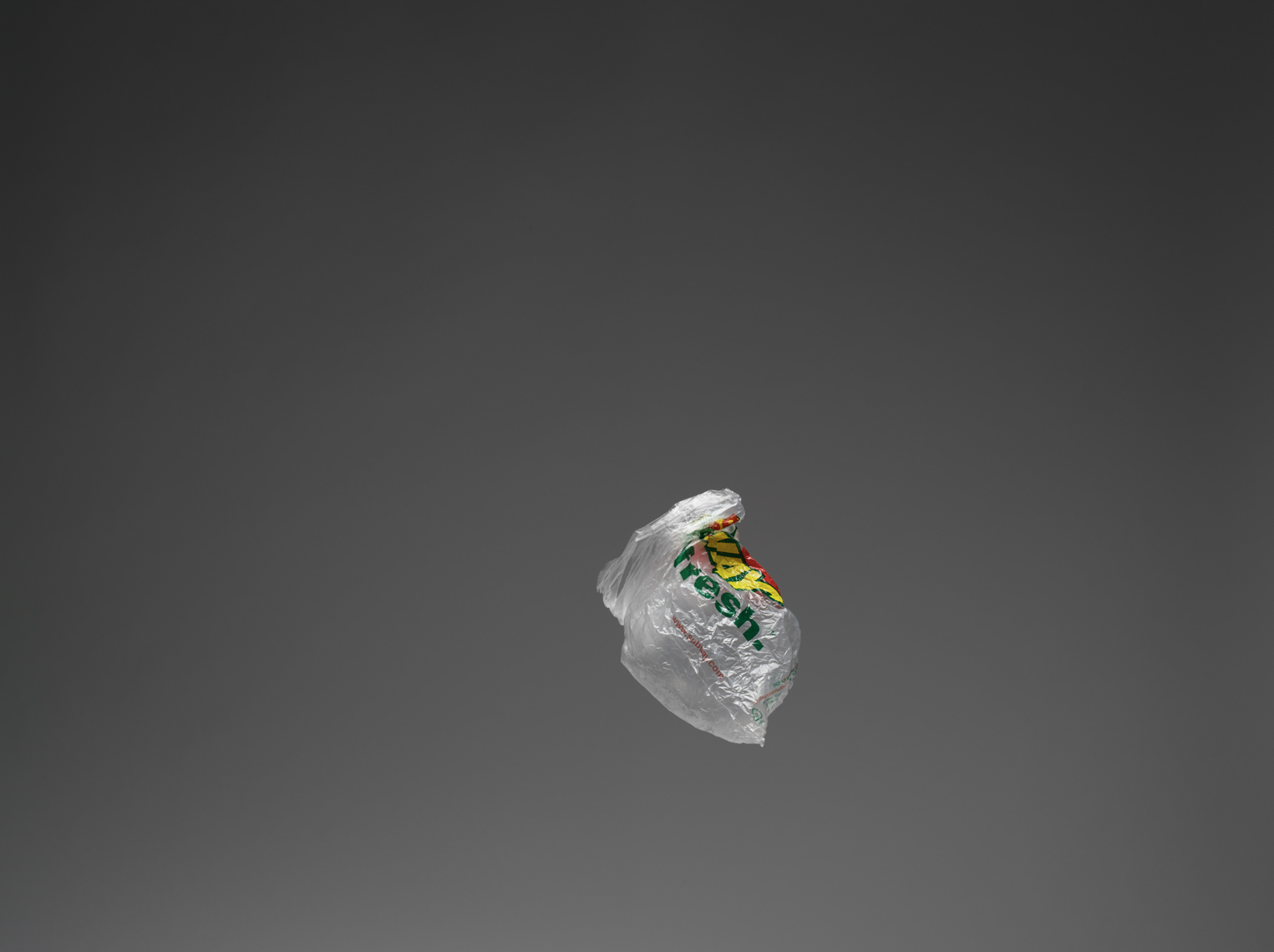 Bags_6-7-0700268